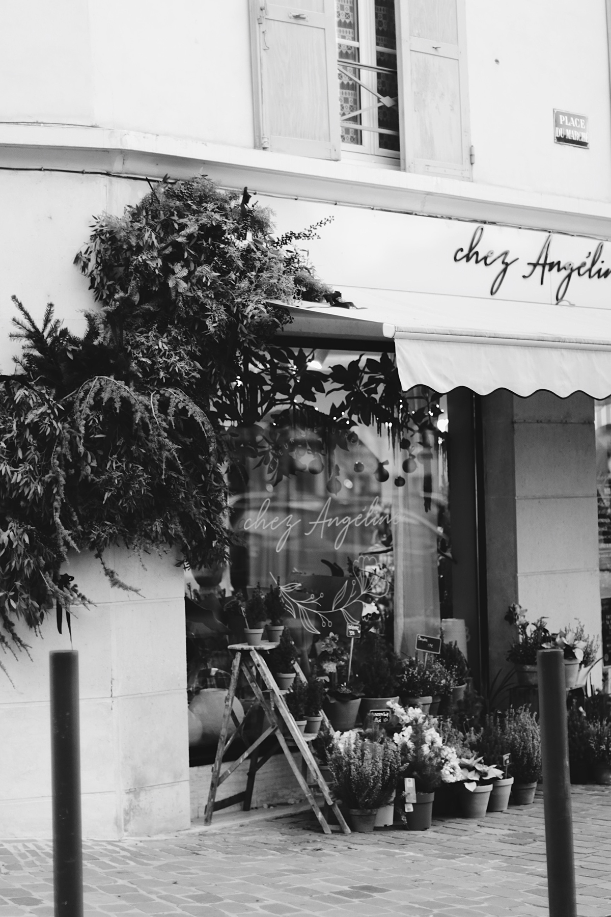 Processed with VSCO with b5pro preset