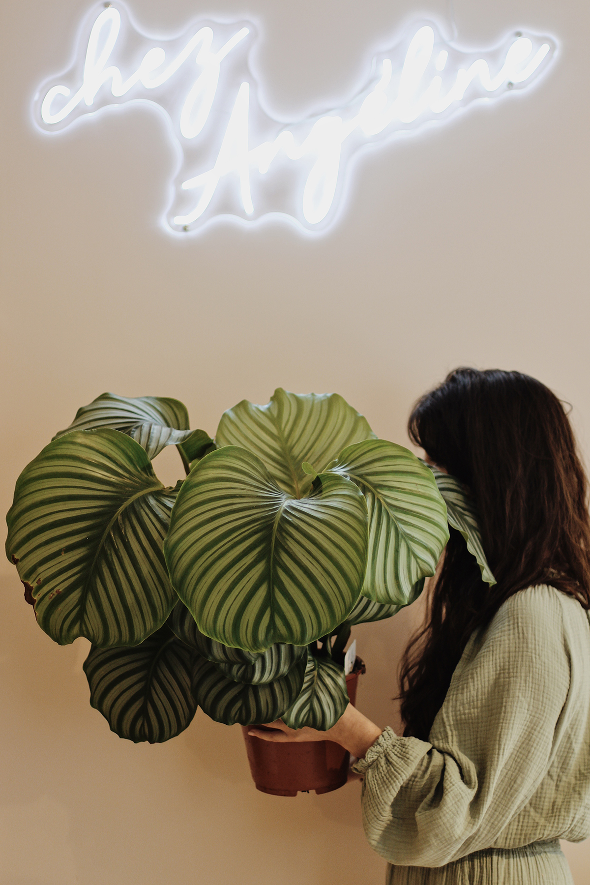 Processed with VSCO with m5 preset