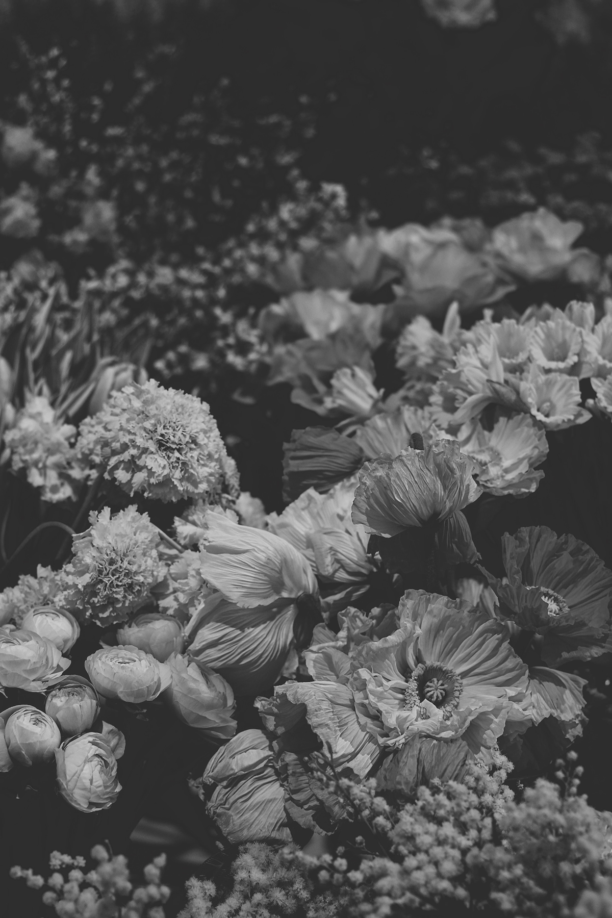 Processed with VSCO with 2 preset