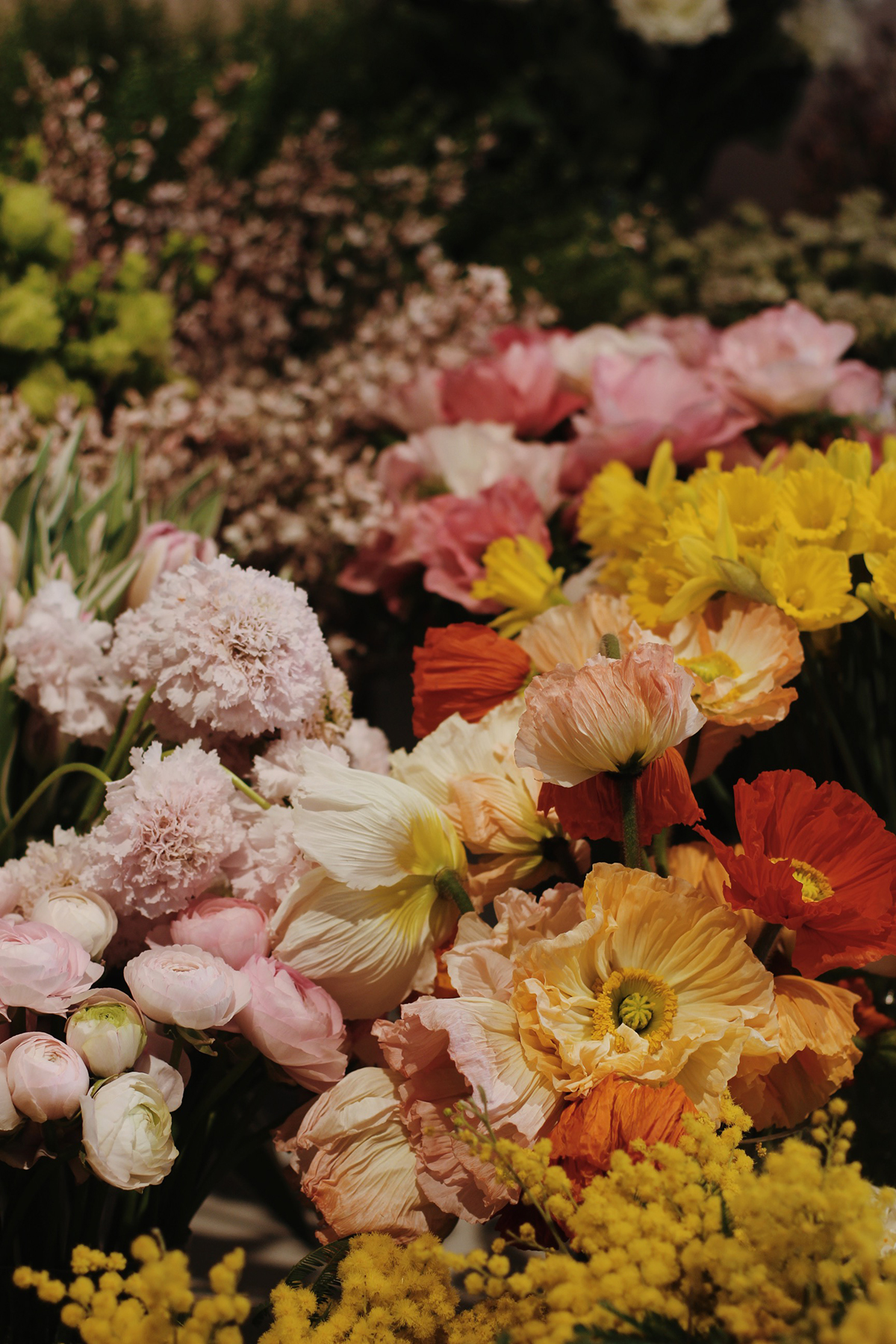 Processed with VSCO with m5 preset