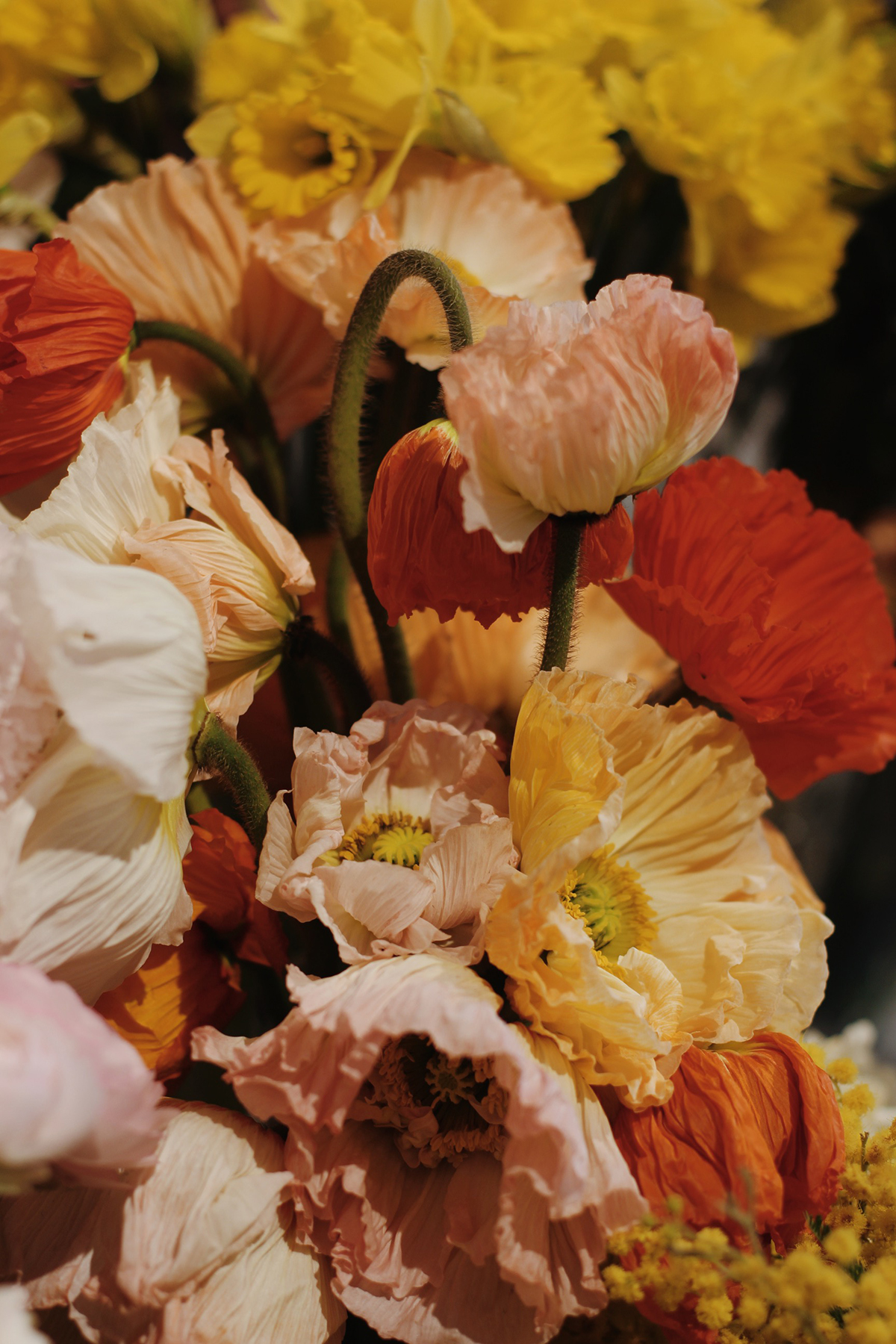 Processed with VSCO with m5 preset