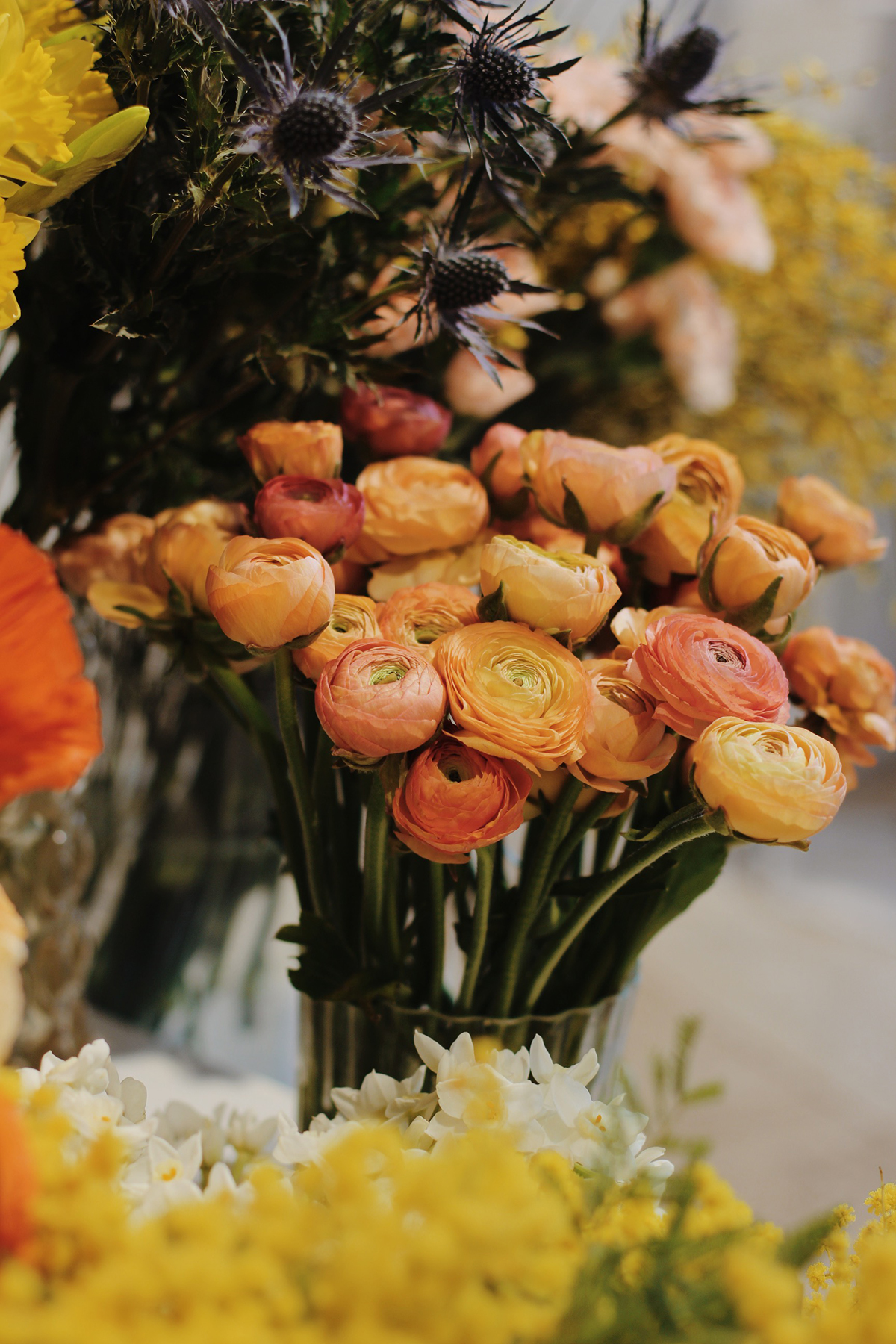 Processed with VSCO with m5 preset