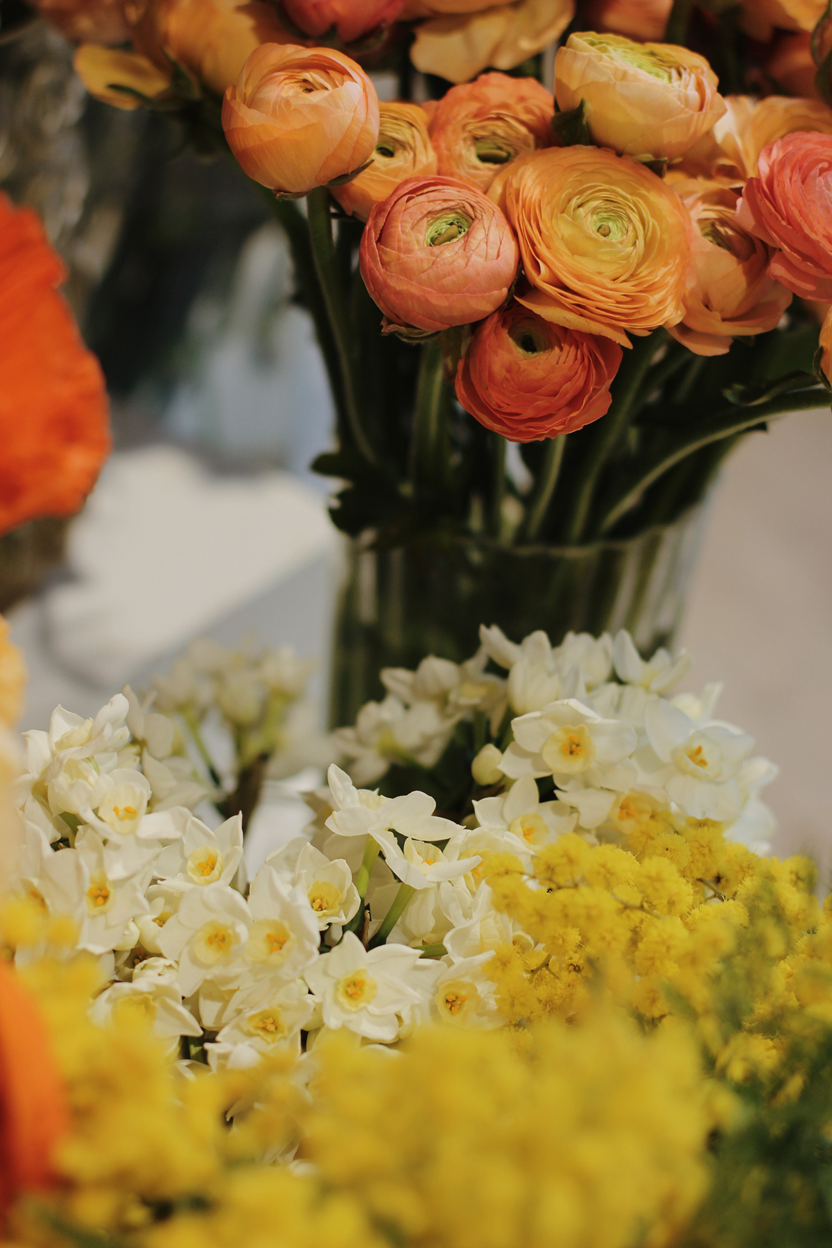 Processed with VSCO with m5 preset