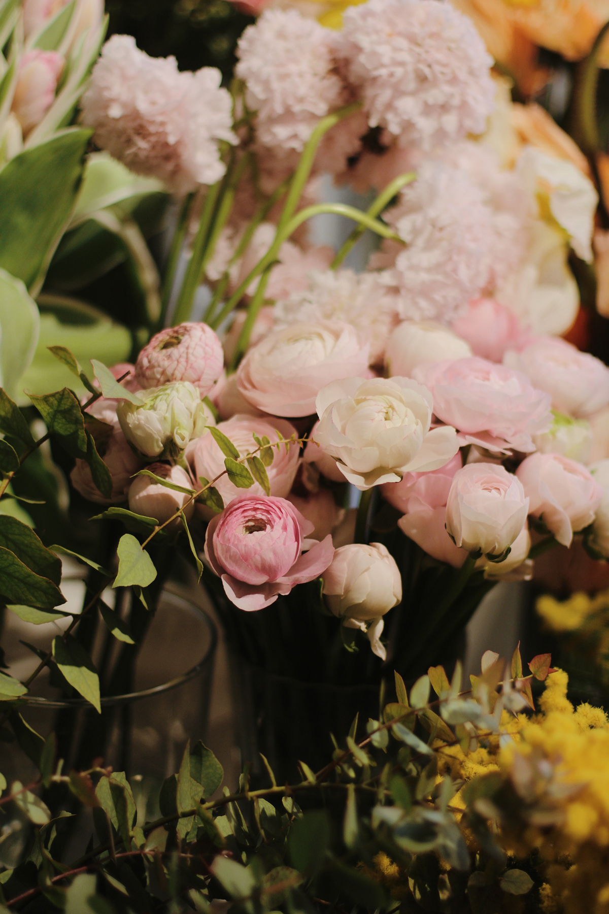 Processed with VSCO with m5 preset