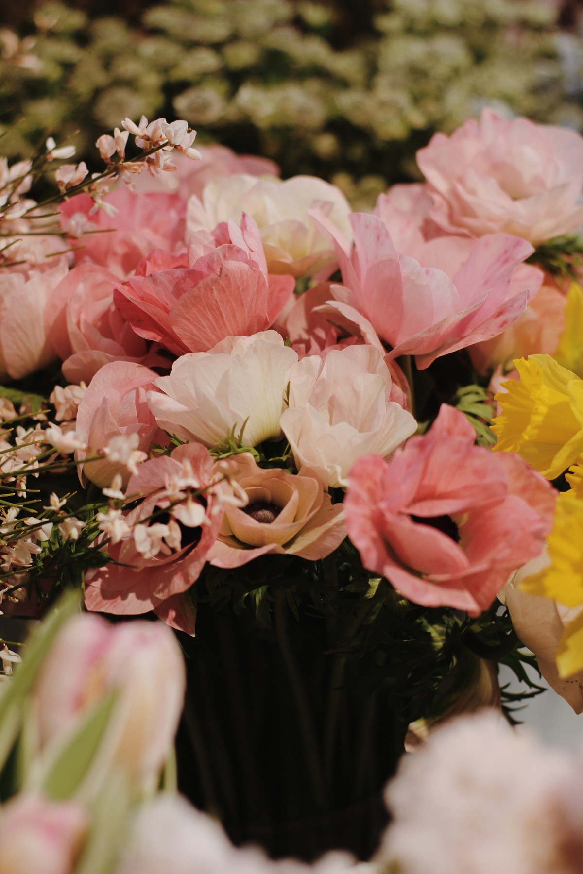 Processed with VSCO with m5 preset