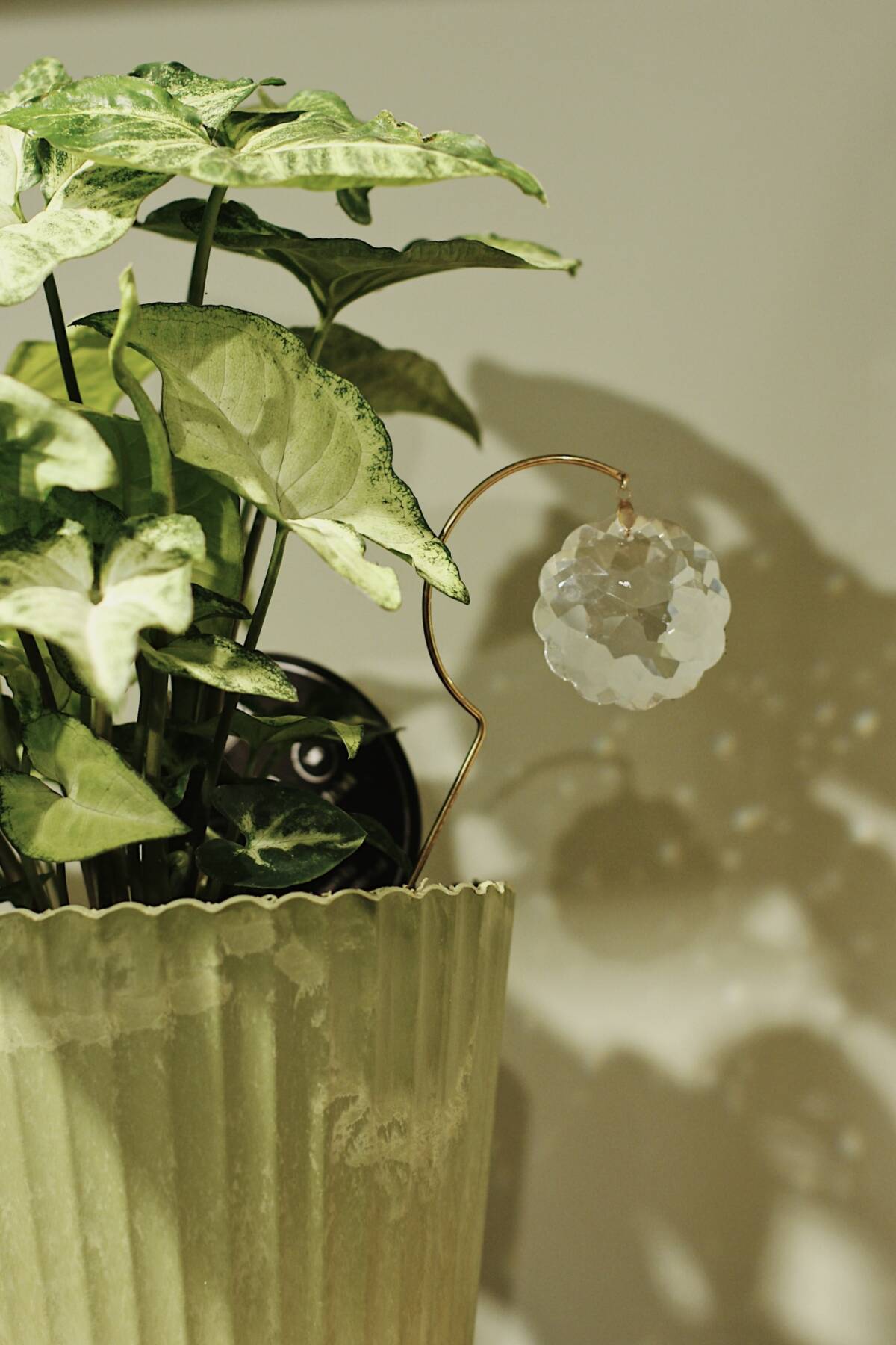 Bijou attrape-soleil – Atelier Intuitive – Image 8