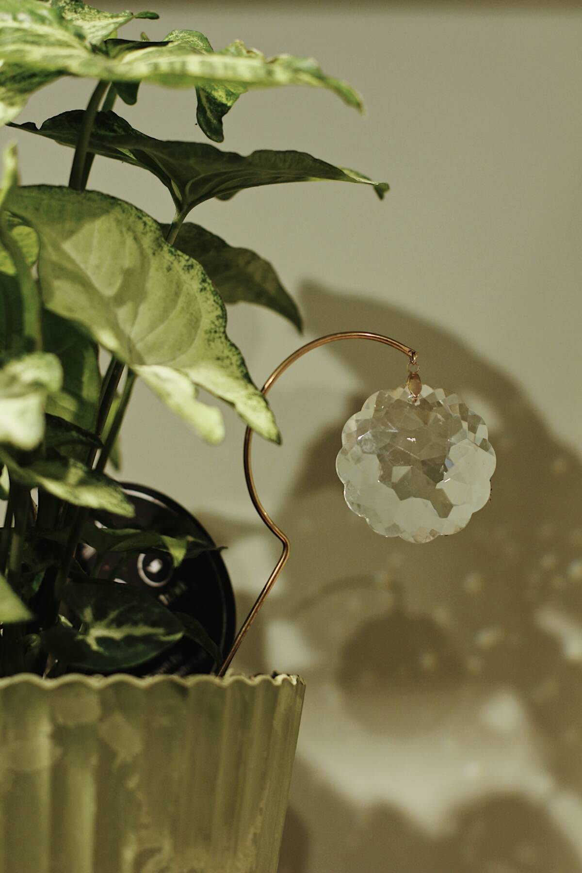 Bijou attrape-soleil – Atelier Intuitive – Image 6