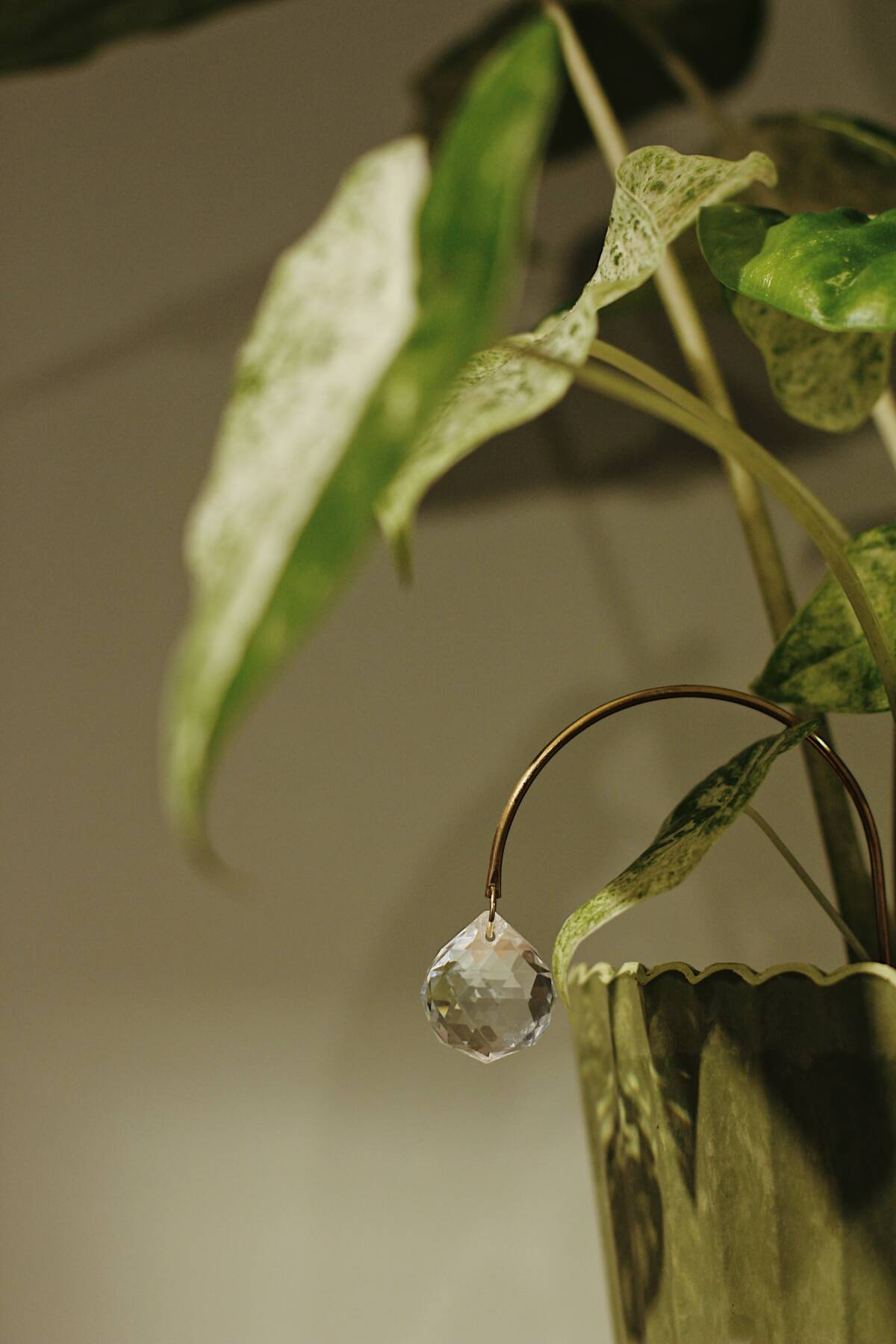 Bijou attrape-soleil – Atelier Intuitive – Image 5