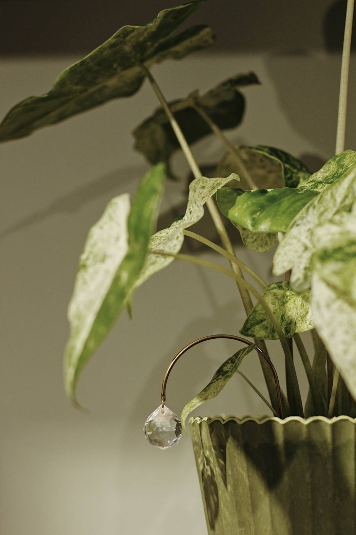 Bijou attrape-soleil – Atelier Intuitive – Image 3